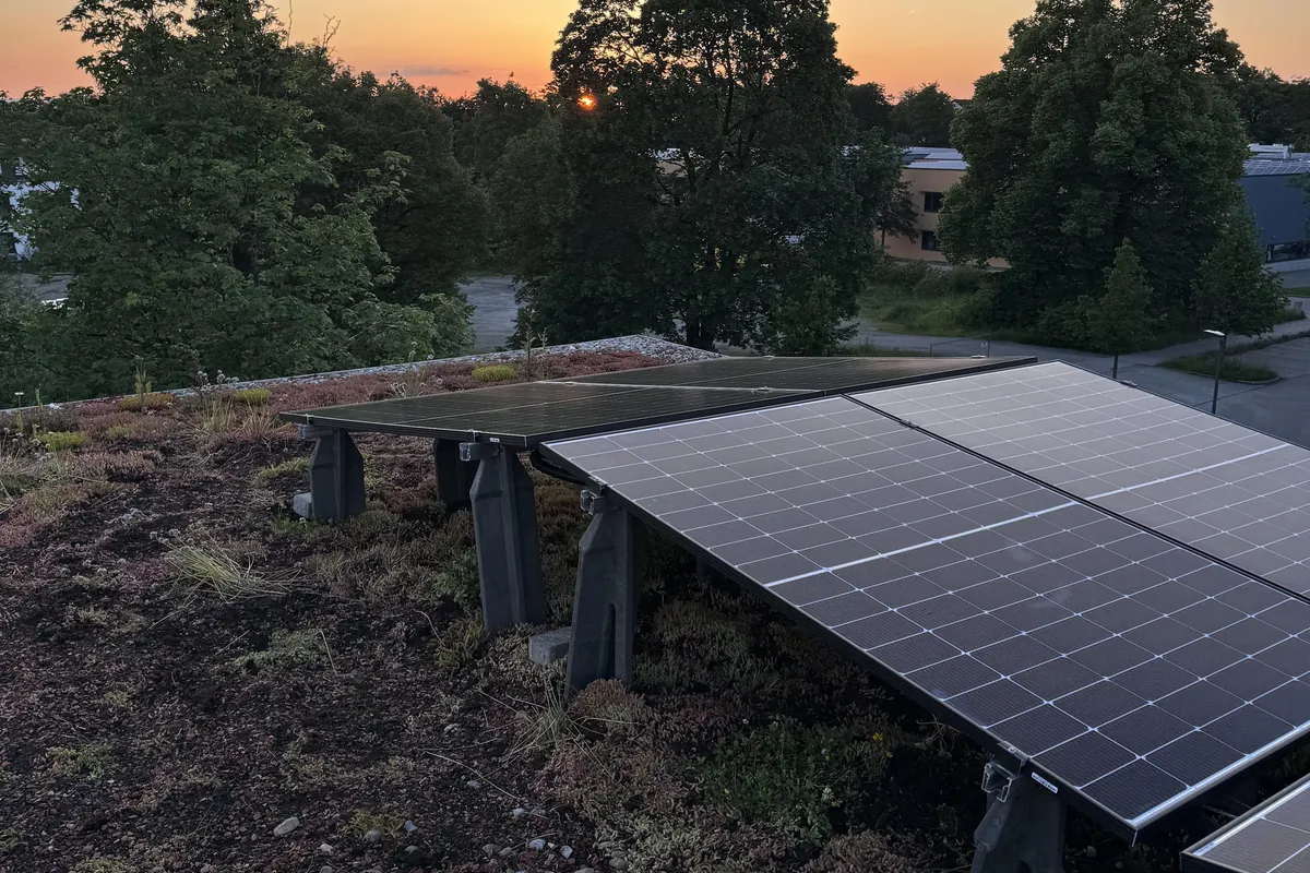 Flachdach-Photovoltaik auf einem begrünten Gewerbedach bei Sonnenuntergang